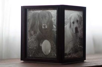 Photo Frame Craft Projects Image